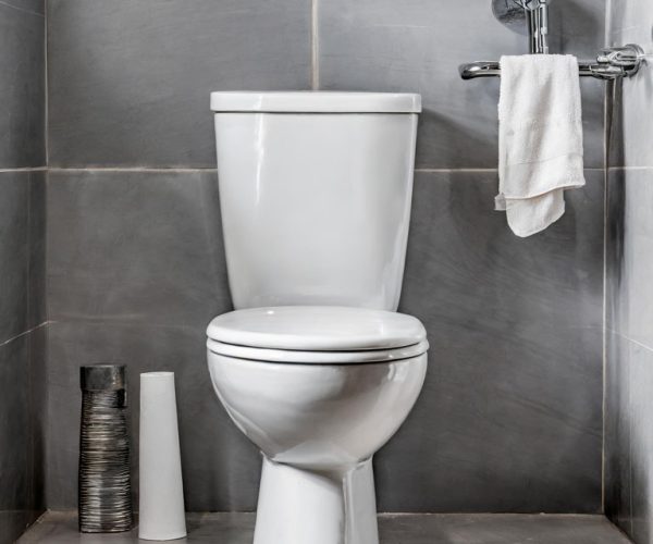 Firefly A normal photo of a bathroom toilet 60371