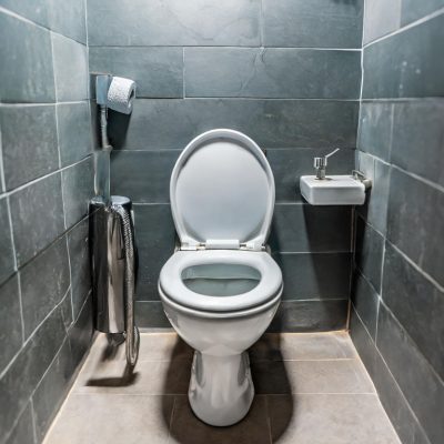 Firefly A normal photo of a toilet. 18769