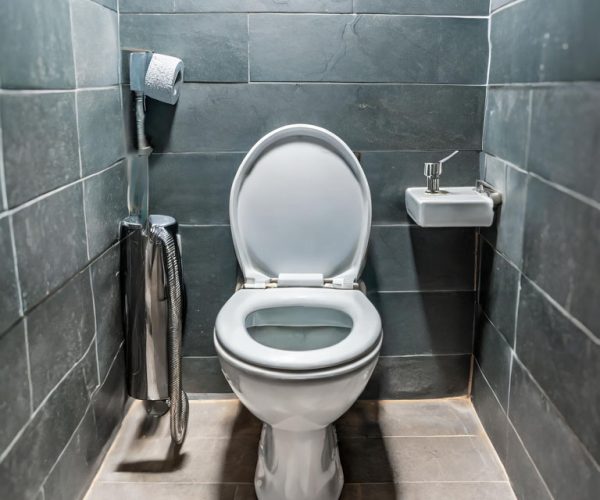 Firefly A normal photo of a toilet. 18769