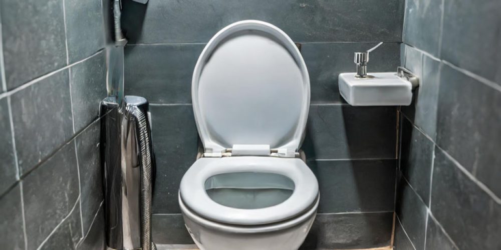 Firefly A normal photo of a toilet. 18769