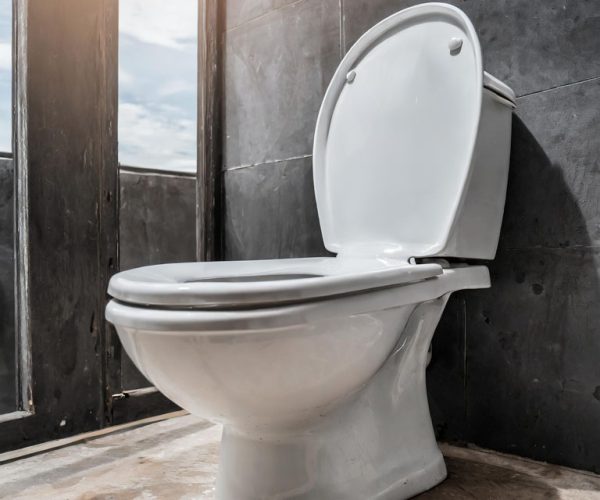 Firefly A normal photo of a toilet. 63791