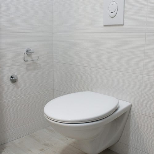 toilet